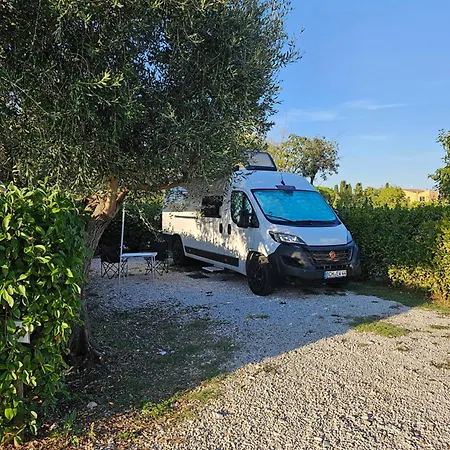 Agricoccinella - Area Sosta Camper * Piombino