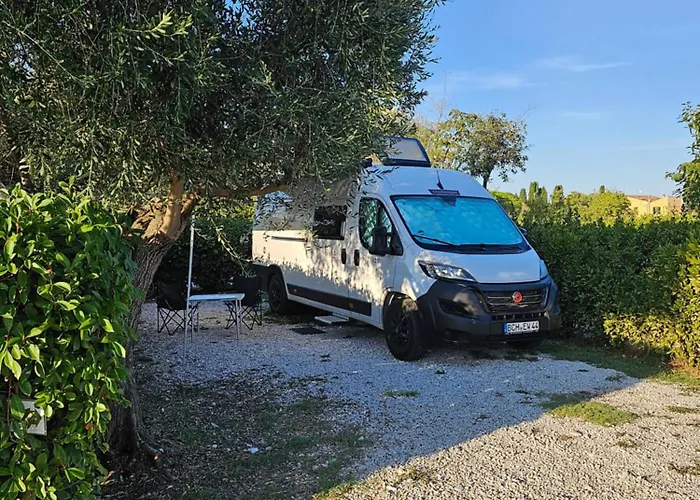 Agricoccinella - Area Sosta Camper * Piombino